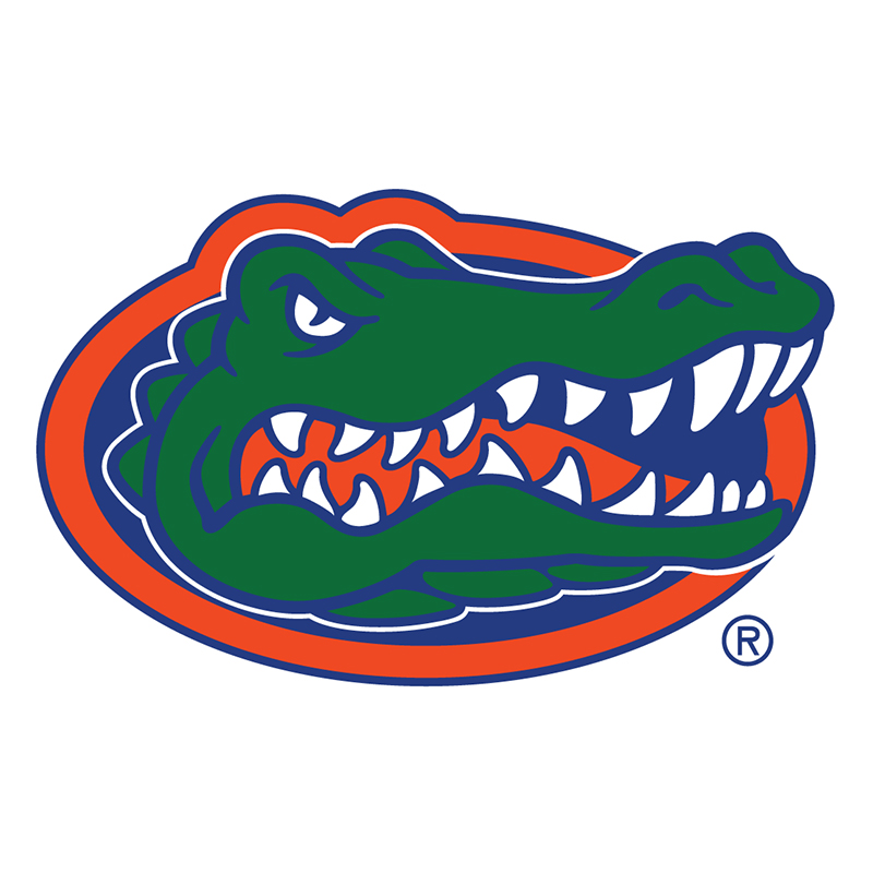 Florida Gators iron ons